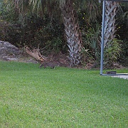Picture 002